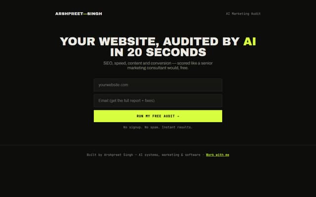Screenshot of the AI Marketing Audit tool